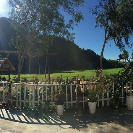 Phong Nha Rice Field Homestay Bagian luar foto