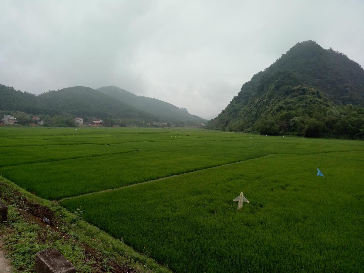 Phong Nha Rice Field Homestay Bagian luar foto
