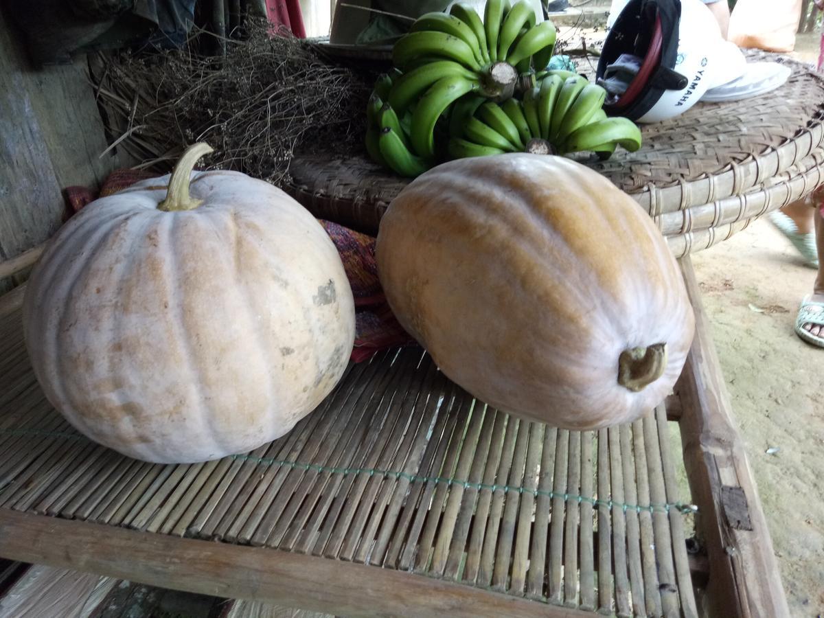 Phong Nha Rice Field Homestay Bagian luar foto