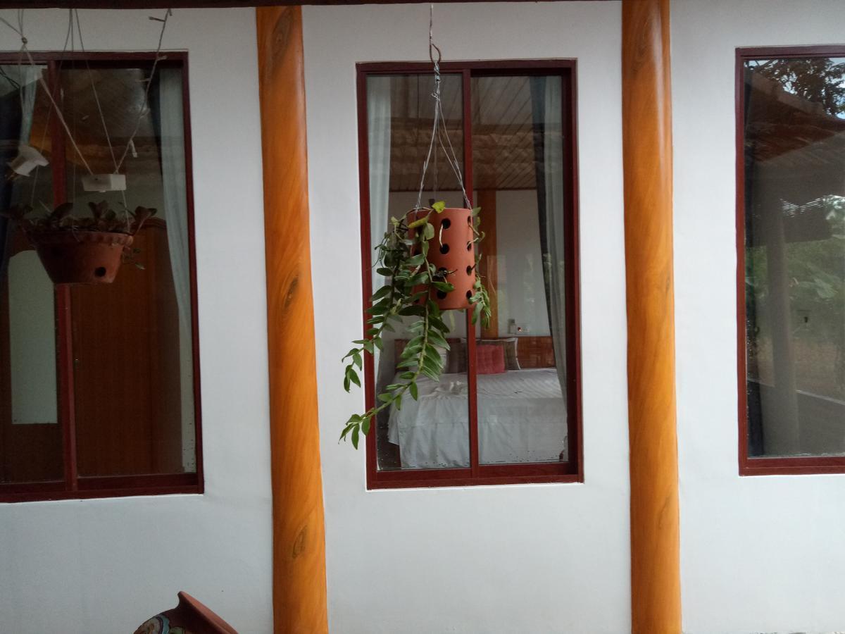Phong Nha Rice Field Homestay Bagian luar foto
