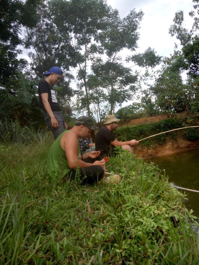 Phong Nha Rice Field Homestay Bagian luar foto