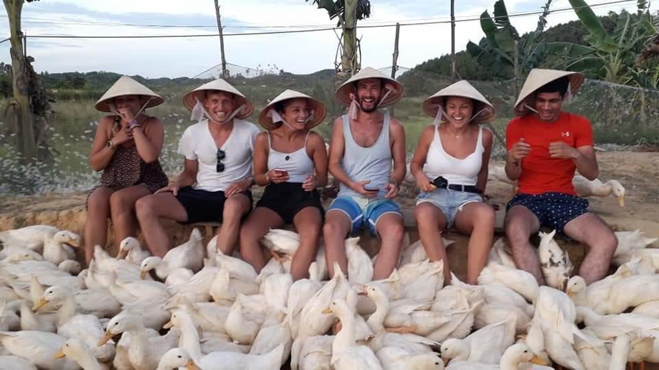 Phong Nha Rice Field Homestay Bagian luar foto