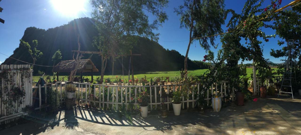Phong Nha Rice Field Homestay Bagian luar foto
