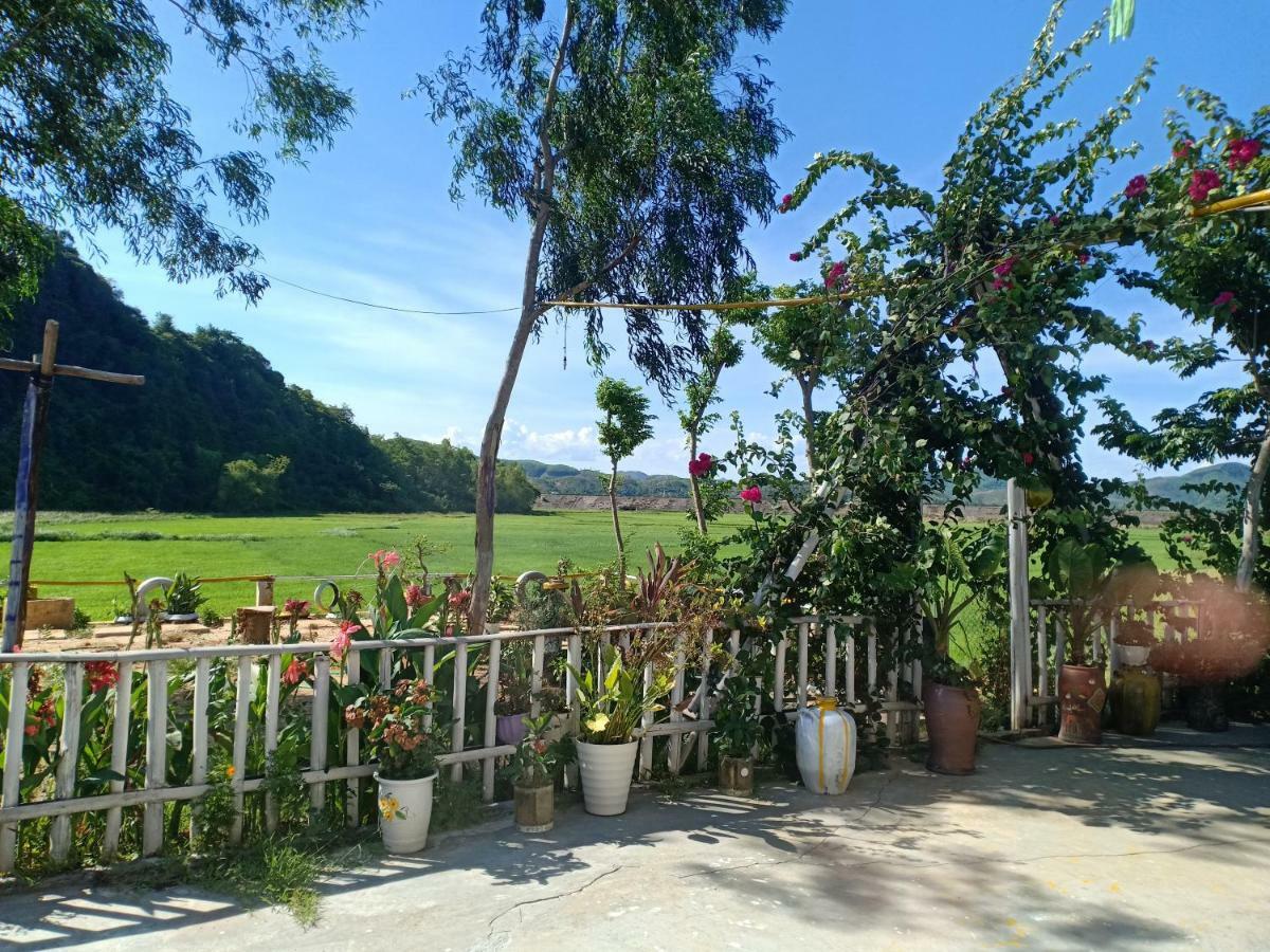 Phong Nha Rice Field Homestay Bagian luar foto